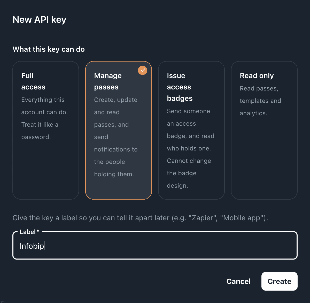 The New API key dialog with the Manage passes preset selected and the label Infobip